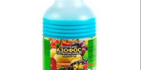 Azofos: upute za upotrebu, kako uzgajati, recenzije vrtlara